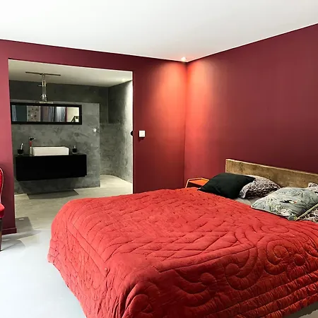 Maison Exceptionnelle Esprit Loft Avec Piscine Villa Pezenas